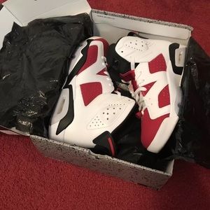 Jordan carmine 6’s